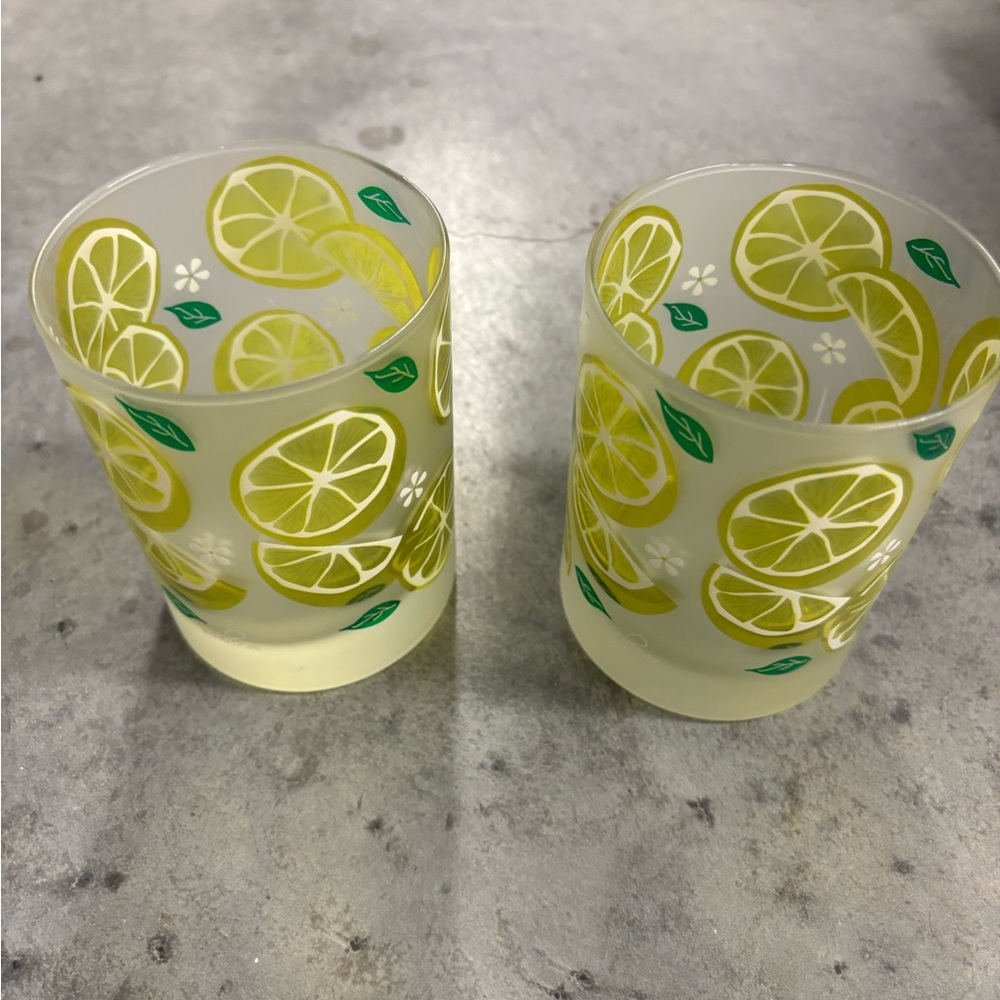 Culver Set of 2 14oz Slices Lemon Lime Frosted Summertime Glasses